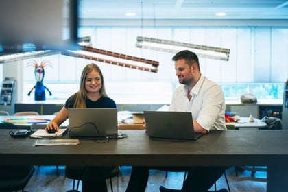 Rebels werken samen